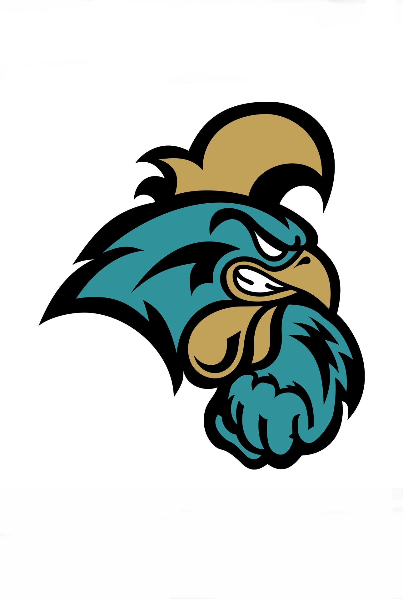 Coastal Carolina kit