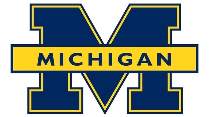 Michigan logo kit