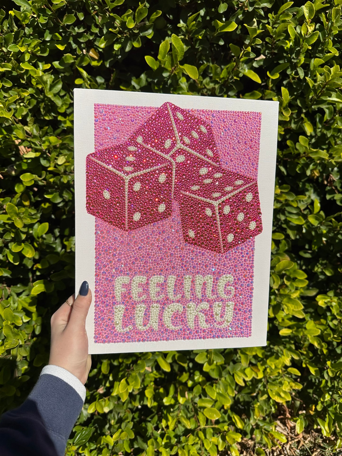 Pink feeling lucky kit
