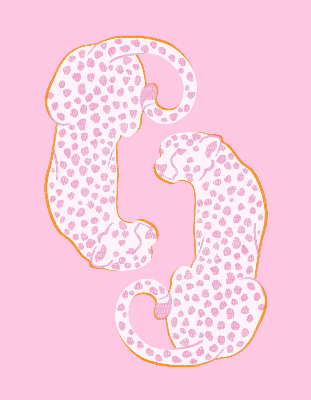 Double pink cheetah kit
