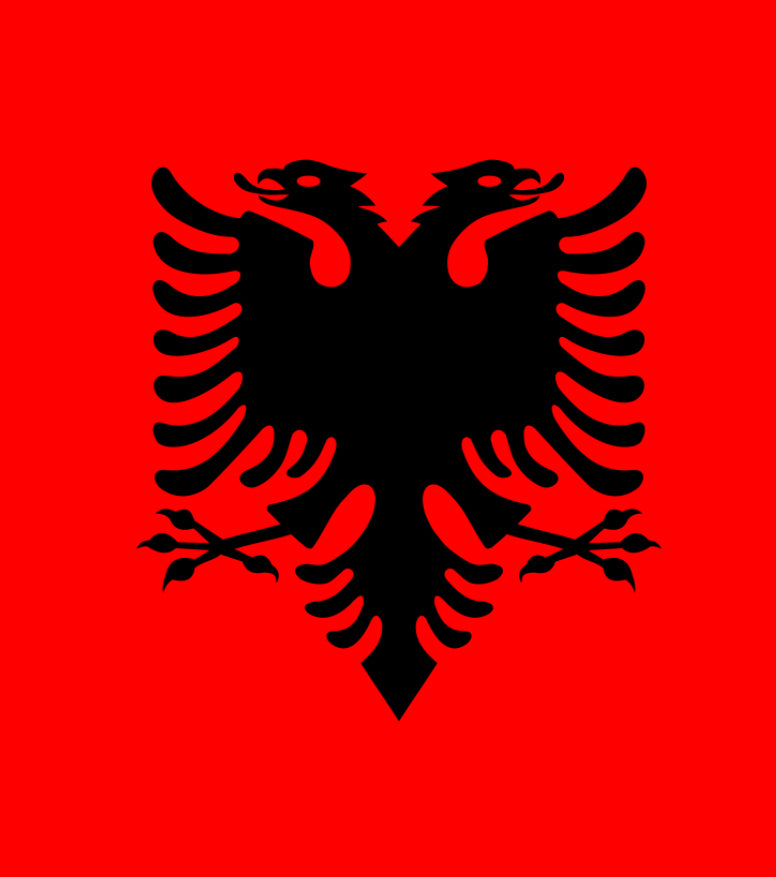 Custom flag