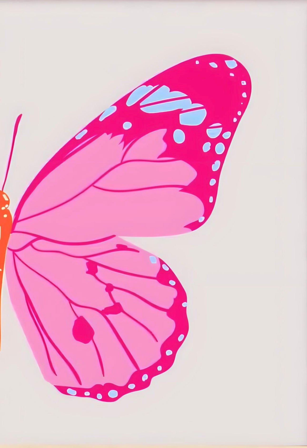 11x14 Butterfly double split canvas KIT