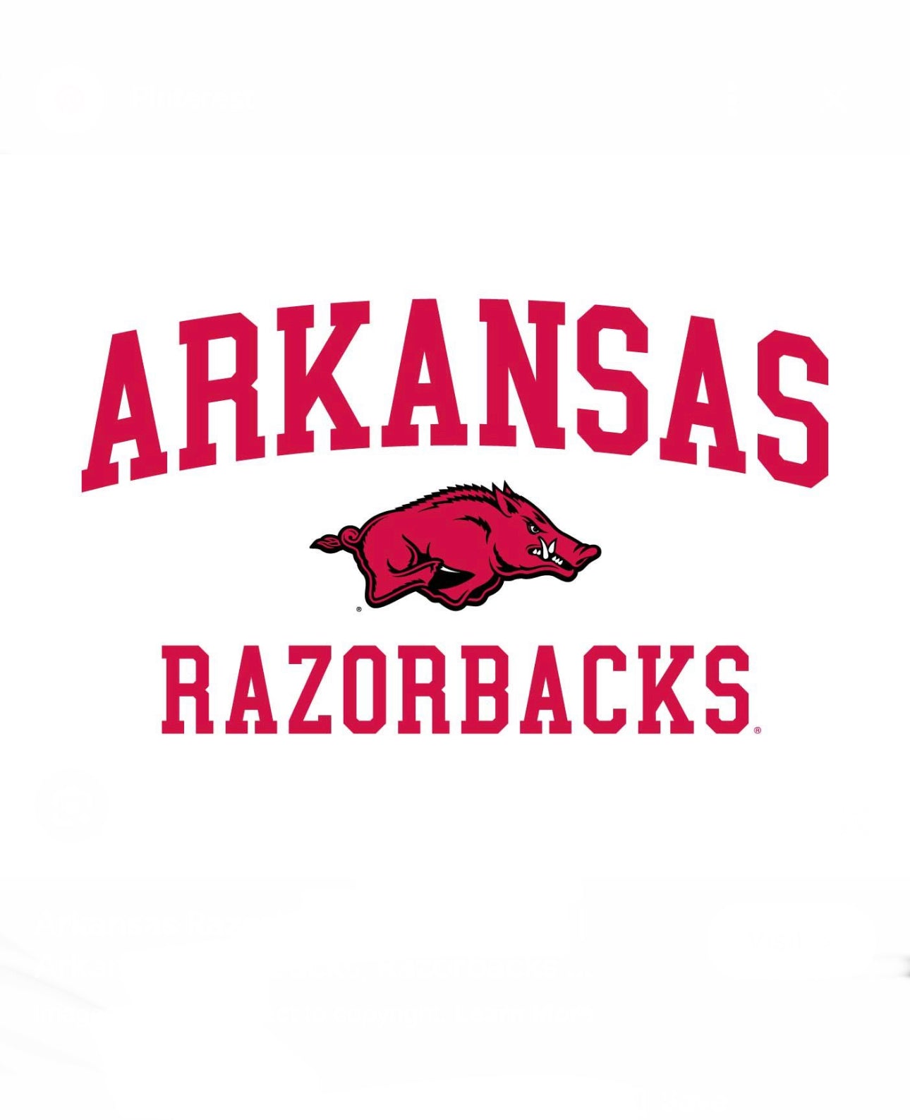 University of Arkansas kit