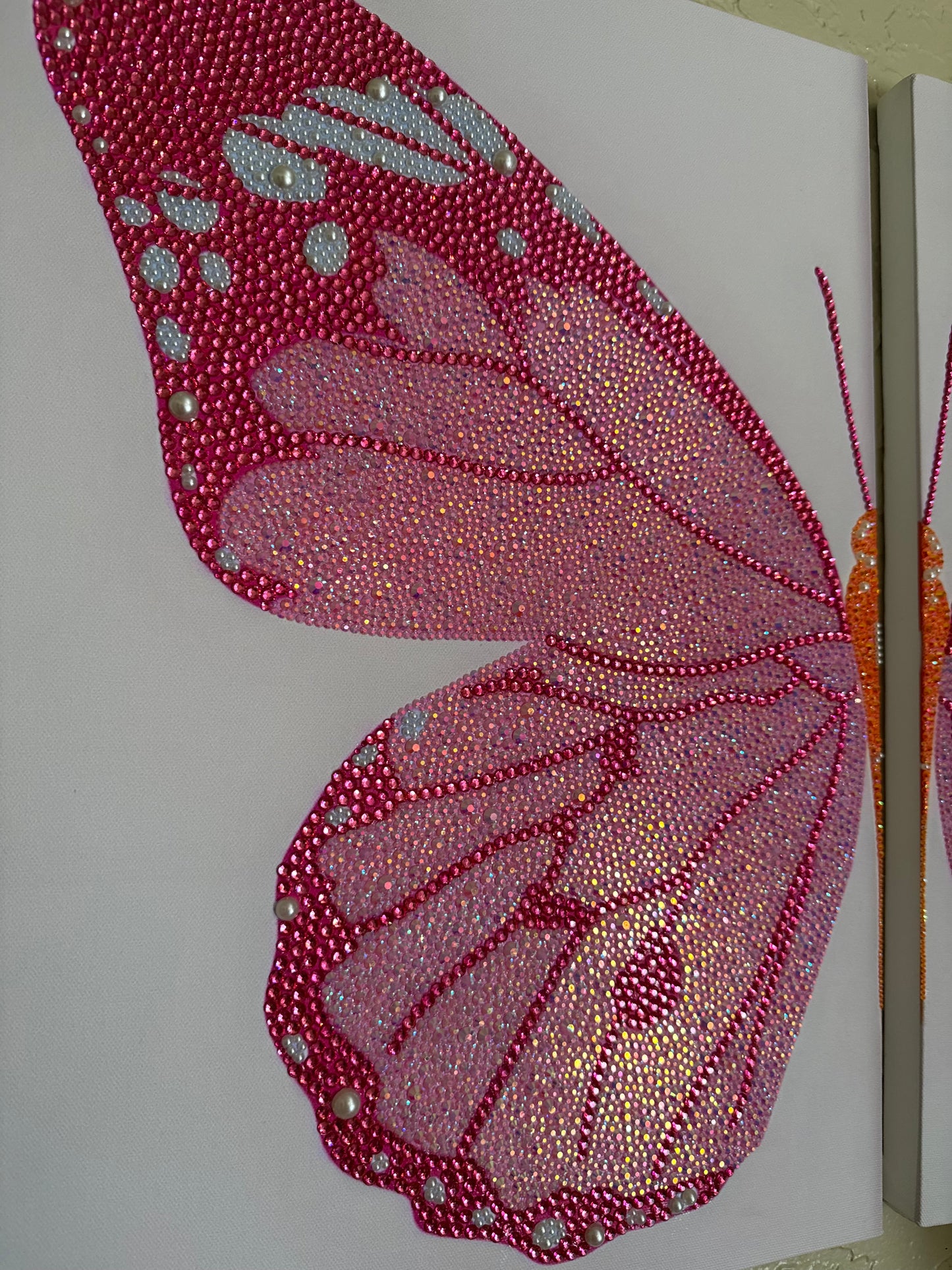 11x14 Butterfly double split canvas KIT