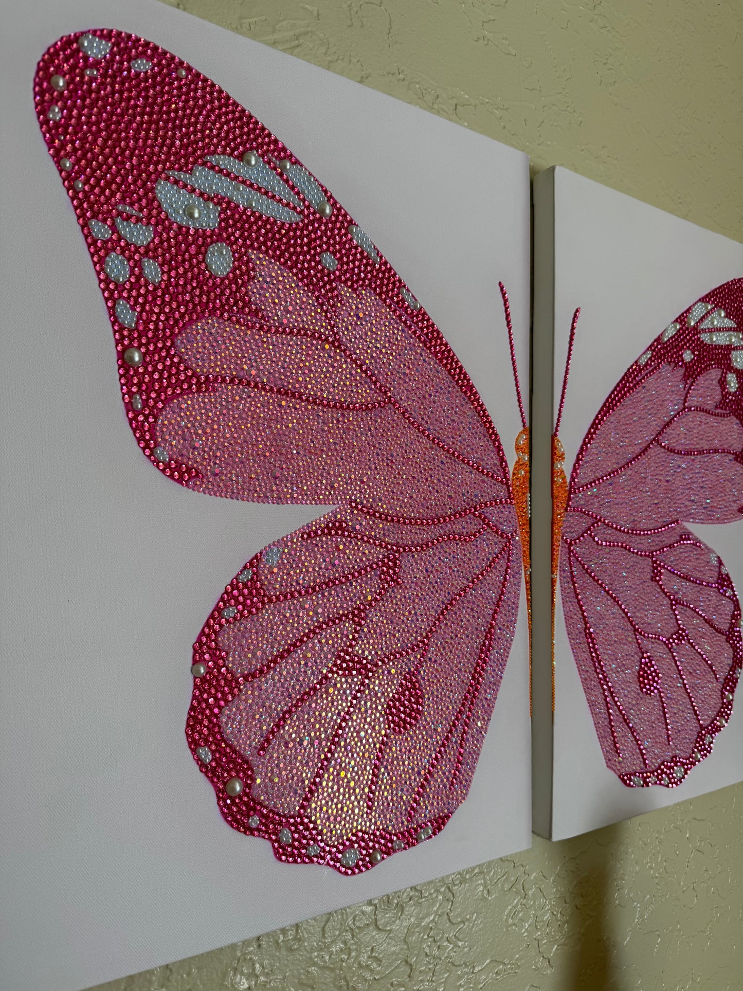 11x14 Butterfly double split canvas KIT
