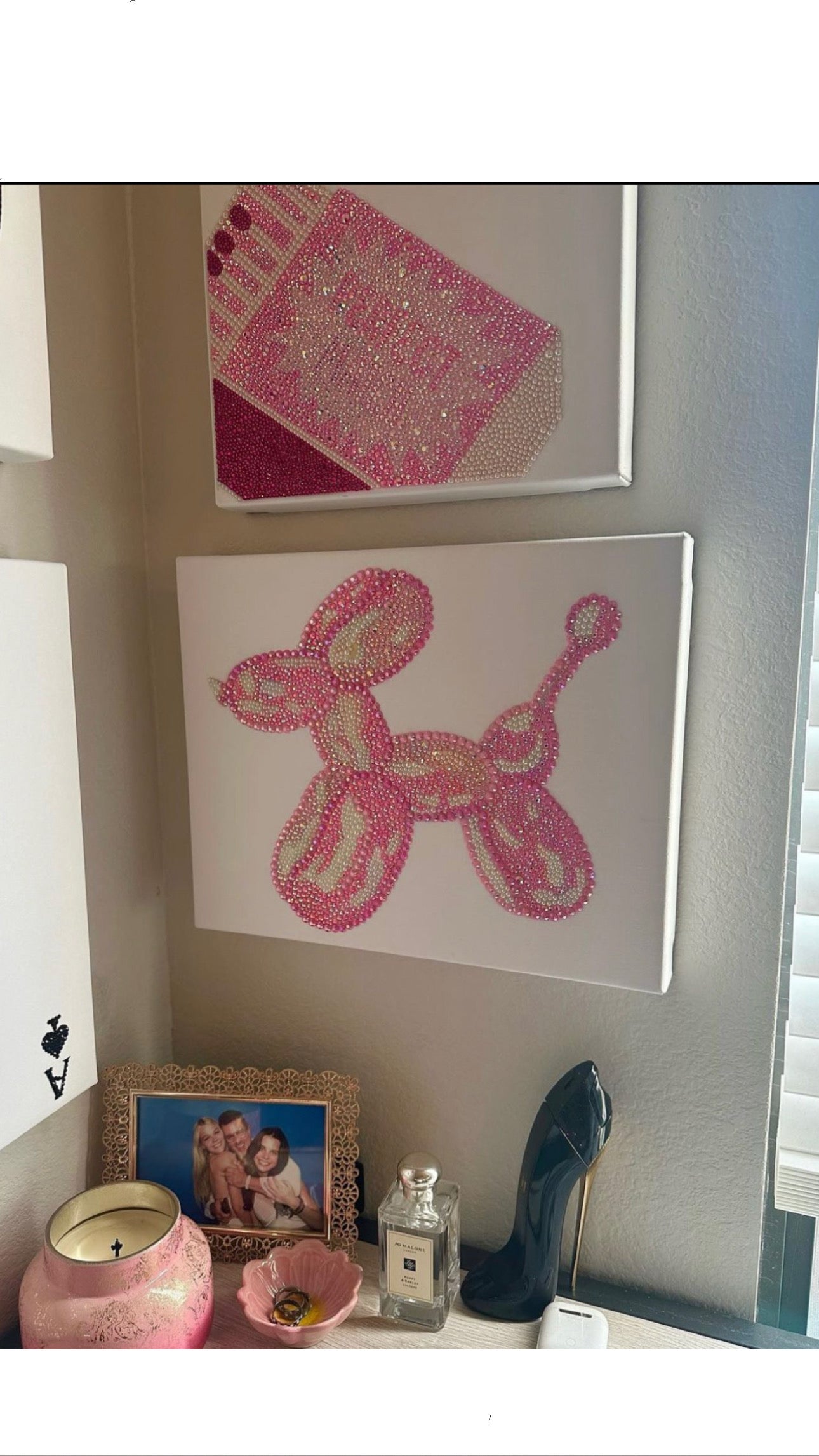 16x20 balloon dog kit