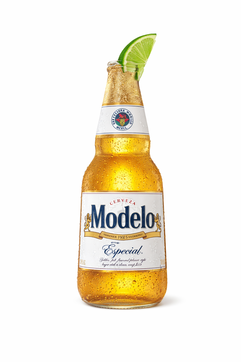 Modelo bottle kit