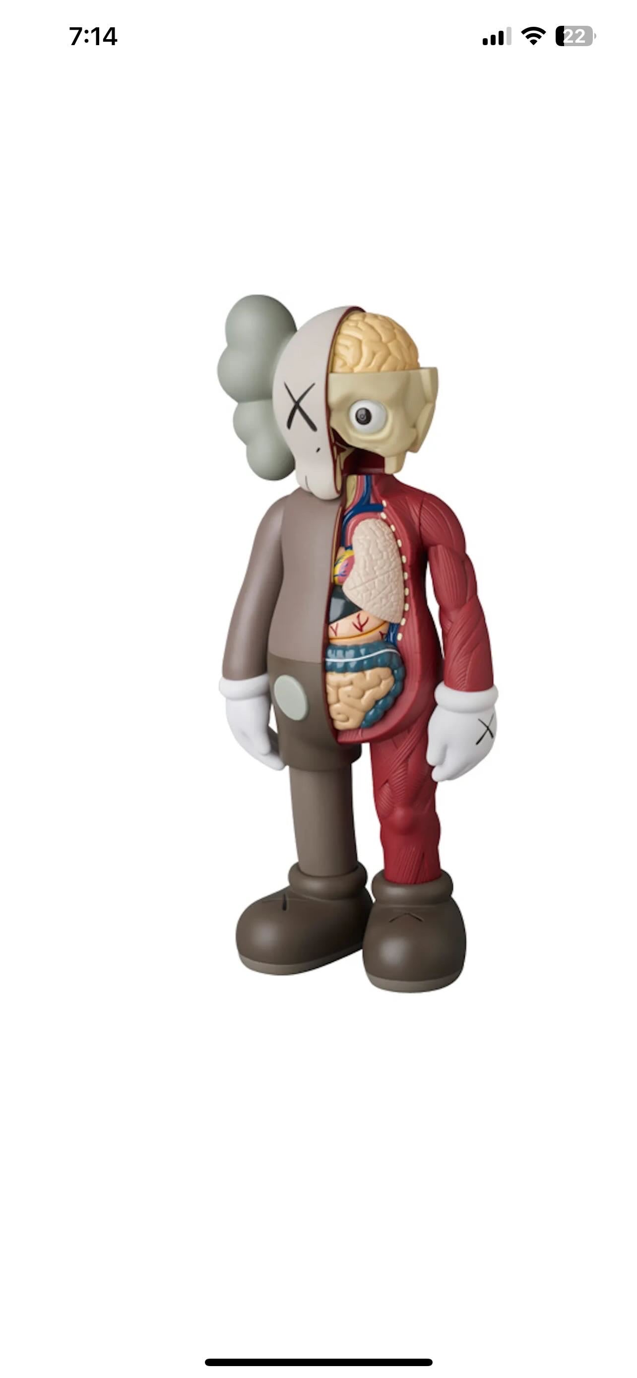 Custom 16x20 kaws kit
