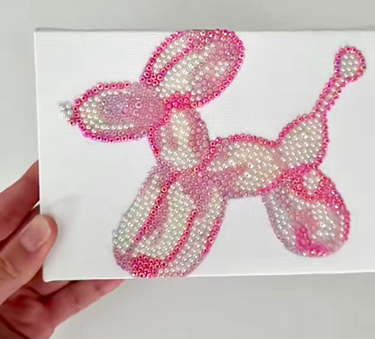 MINI balloon dog kit
