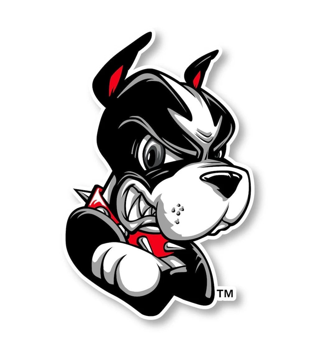 Boston university logo kit