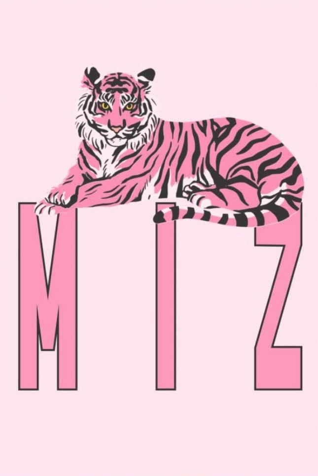 Custom MIZ kit