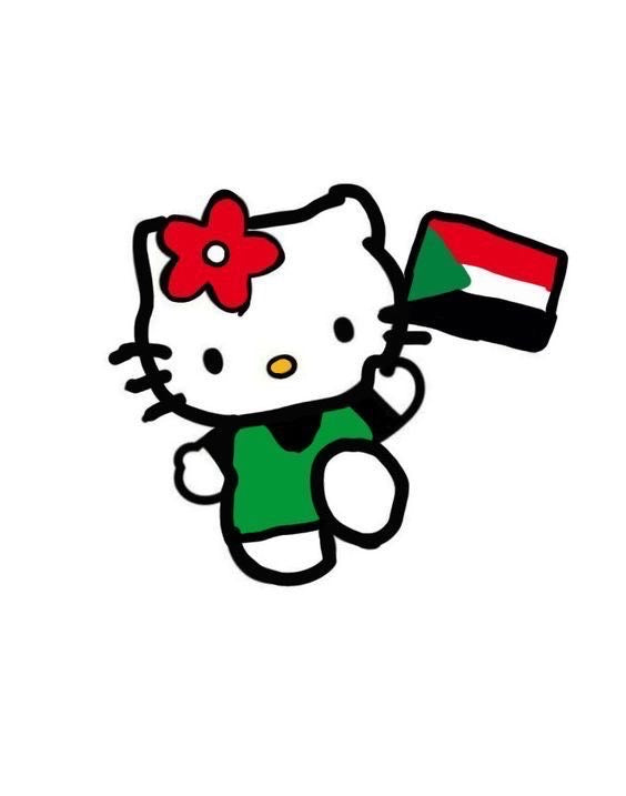 Custom hello kitty flag kit