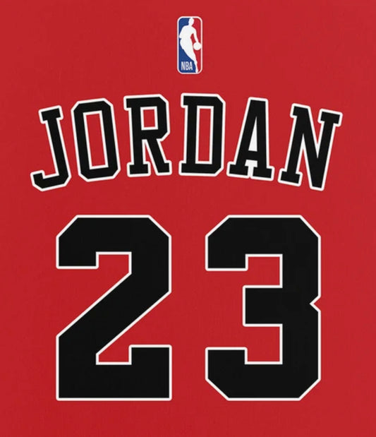 Jordan Jersey KIT