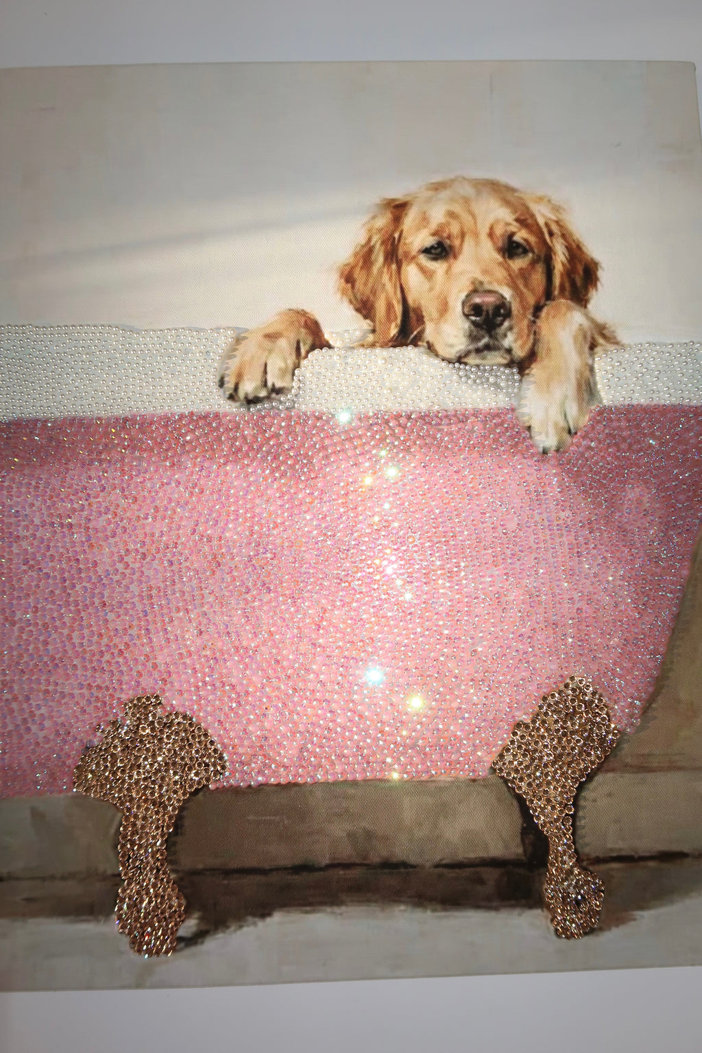 Dog bathtub kit