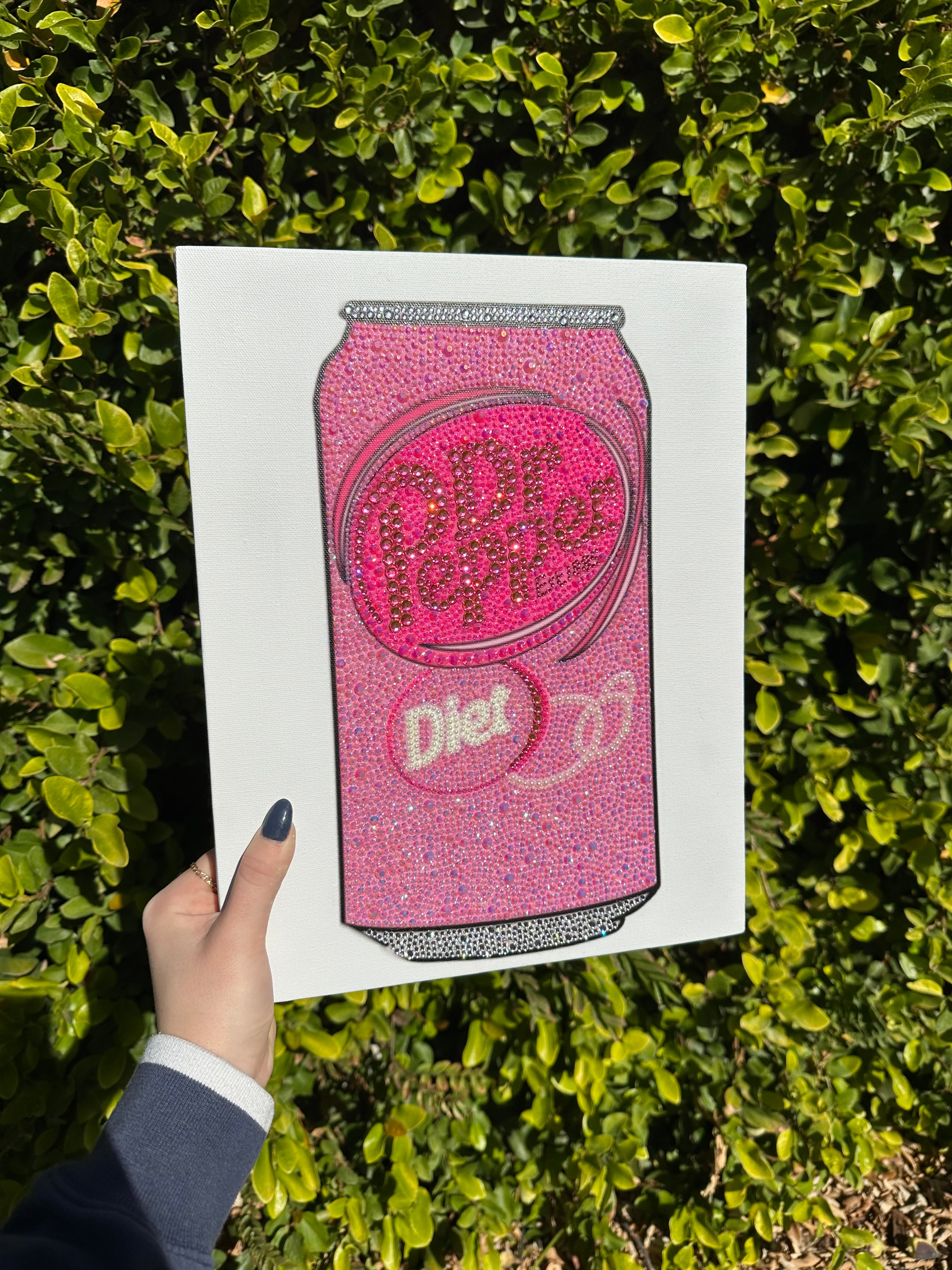 Pink diet Dr Pepper kit