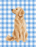 Boy golden retriever kit