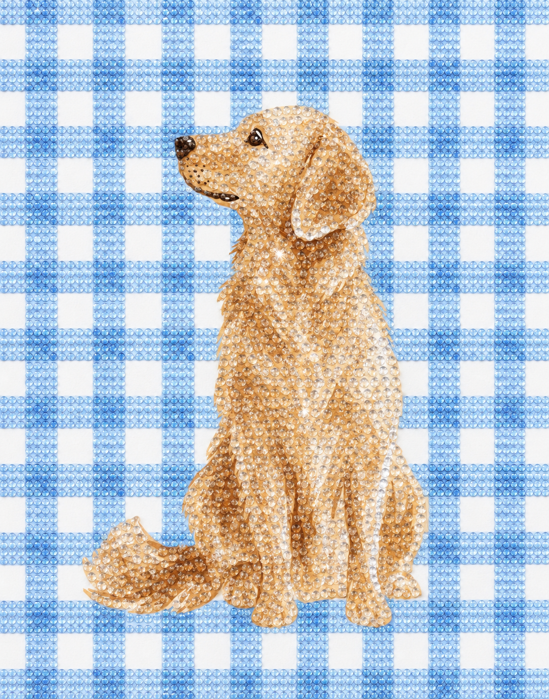 Boy golden retriever kit