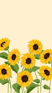 Sunflower kit