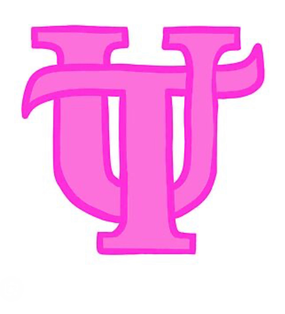 University of Tampa pink kit
