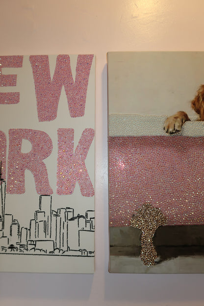 Pink New York kit