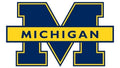 Michigan logo kit