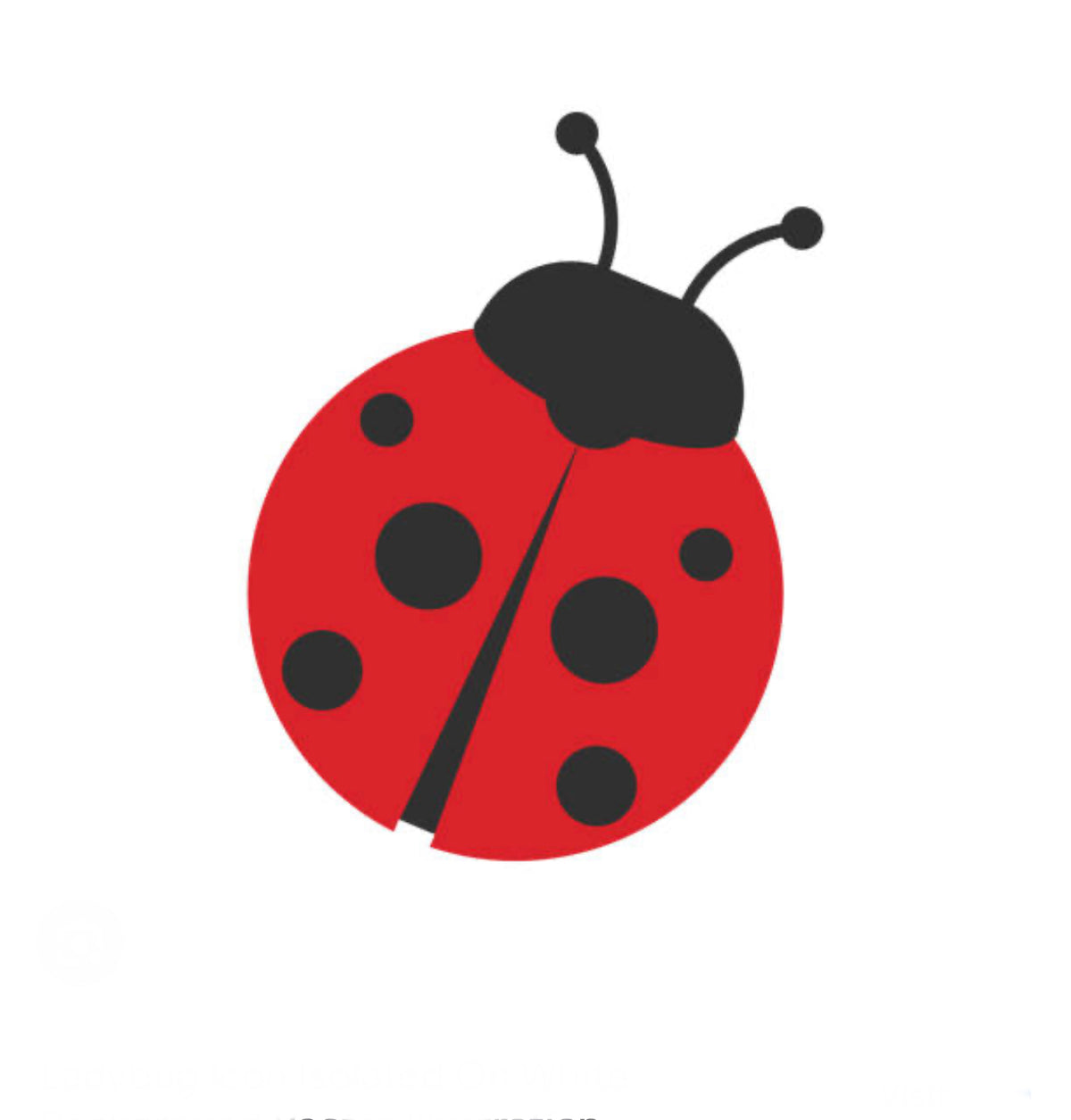 Ladybug kit