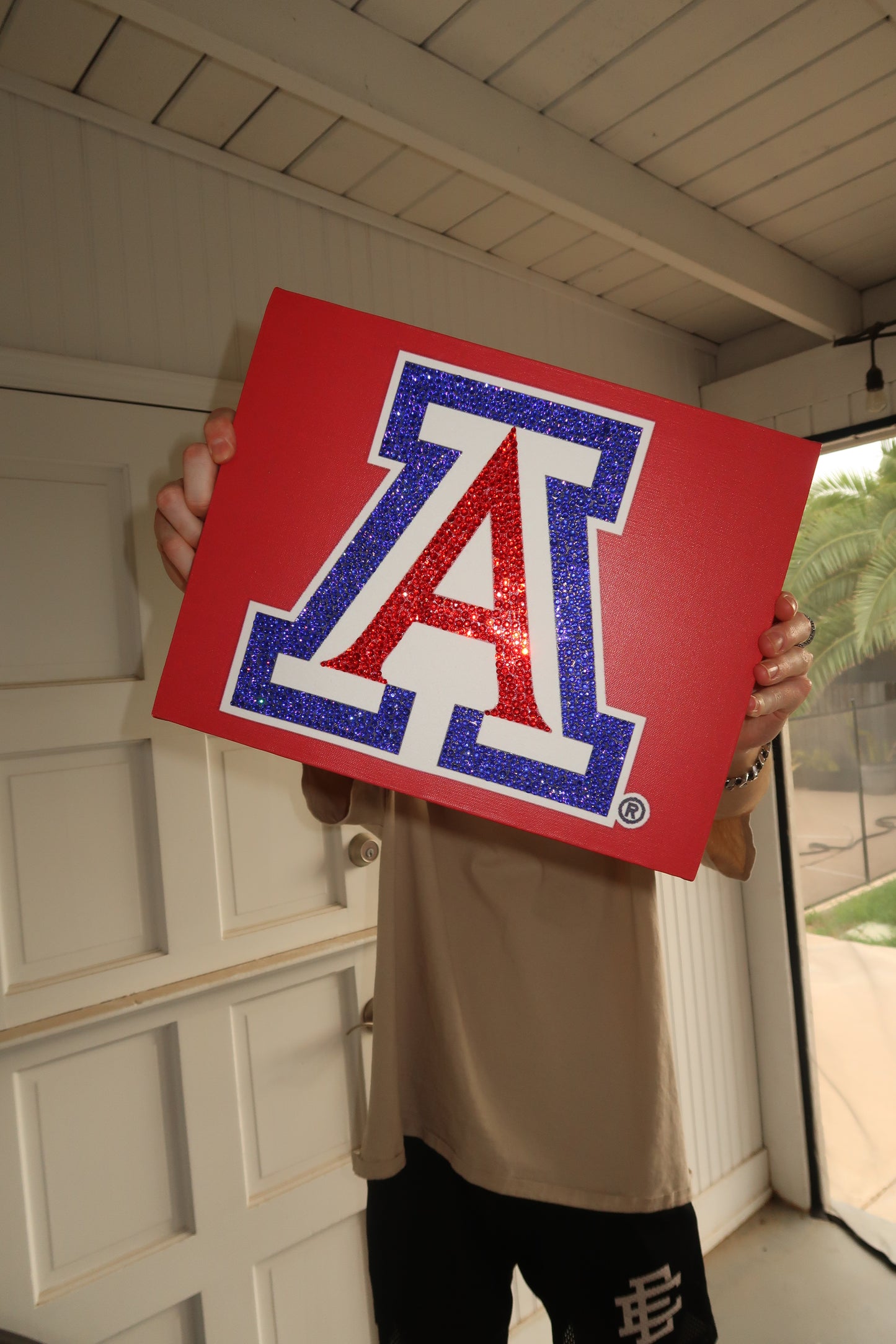 University of Arizona KIT