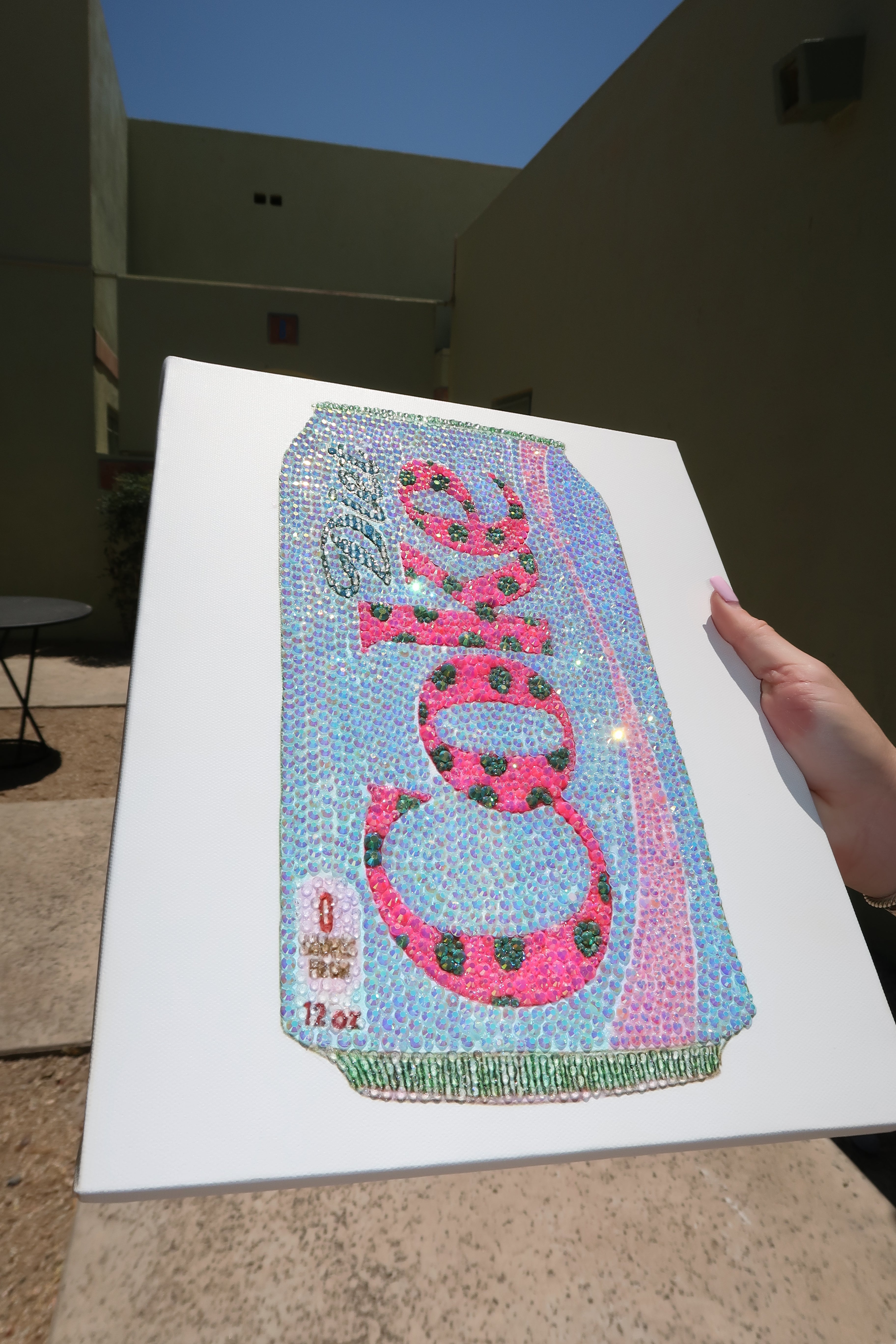 LIMITED EDITION Multicolor Diet Coke kit