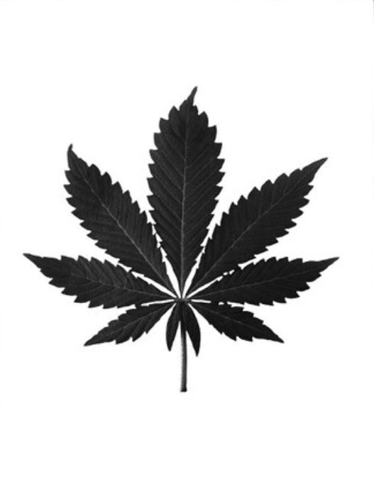 Black marijuana kit