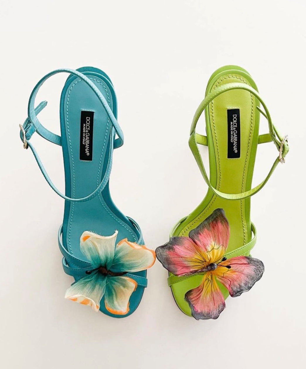 Blue and green butterfly heel kit