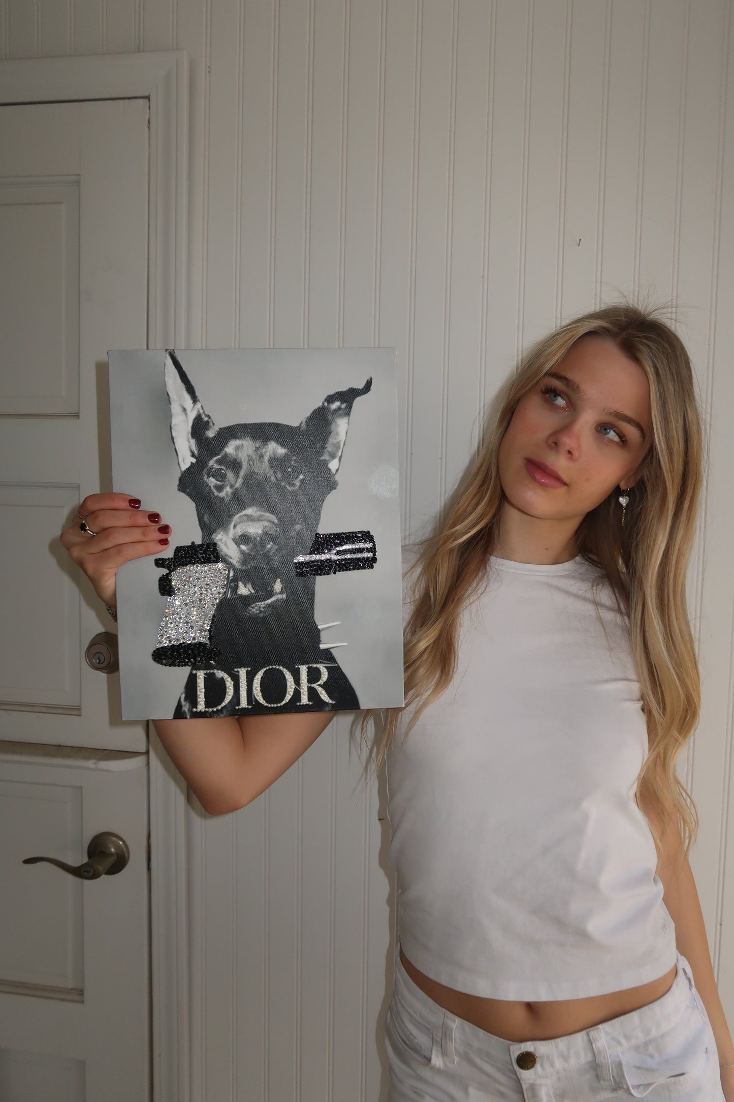 Dior dog kit