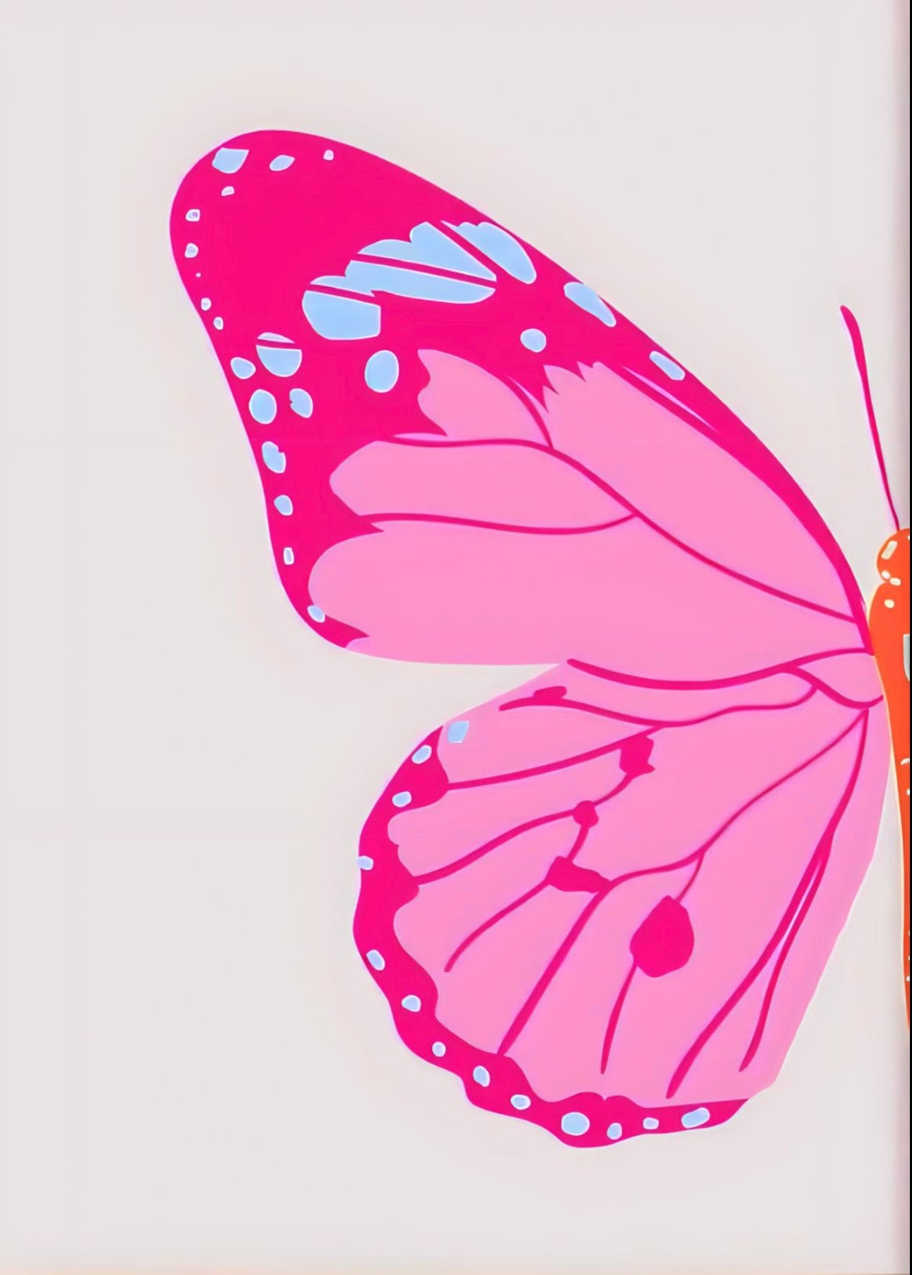 Butterfly double split canvas KIT