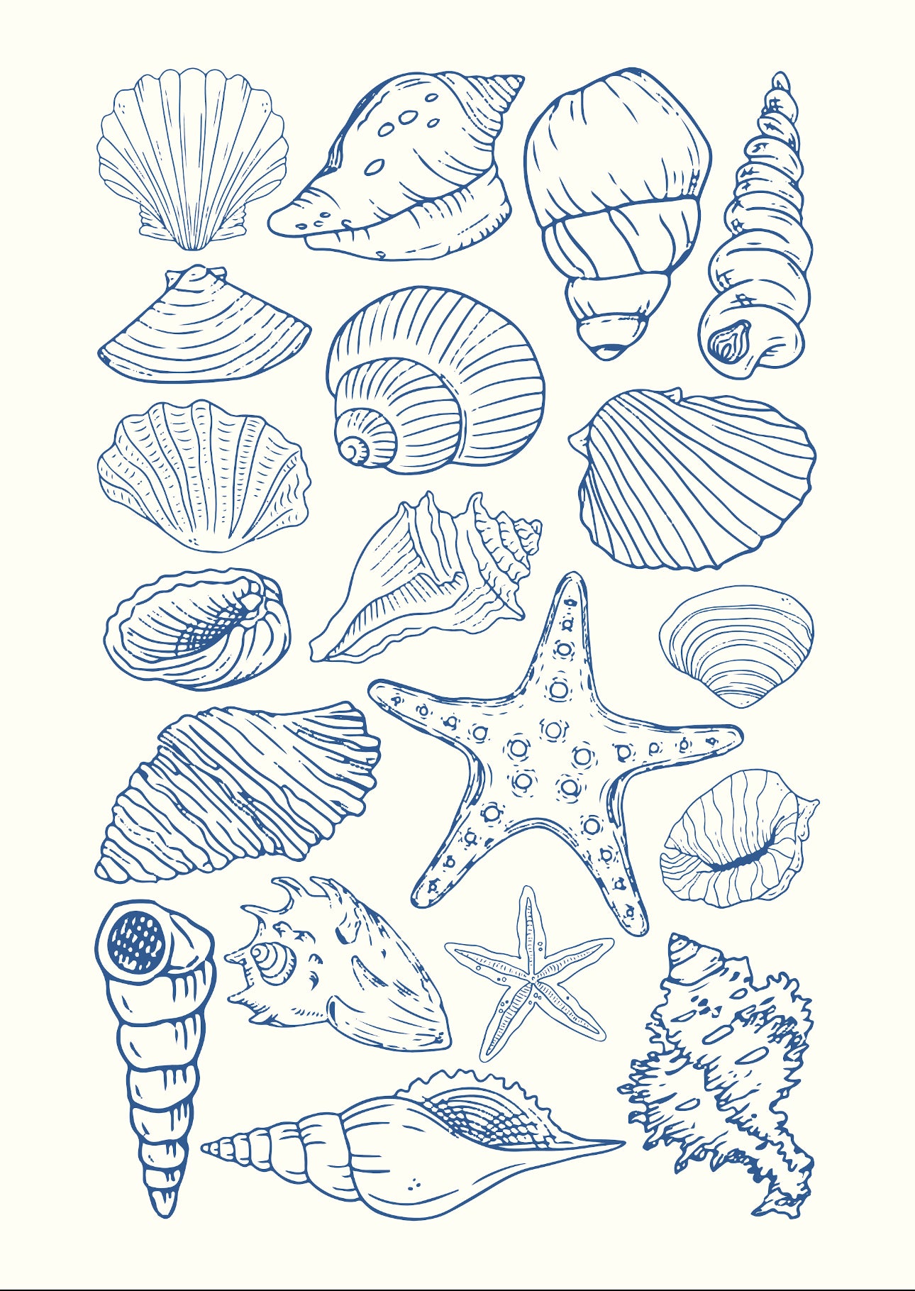 Blue seashell kit