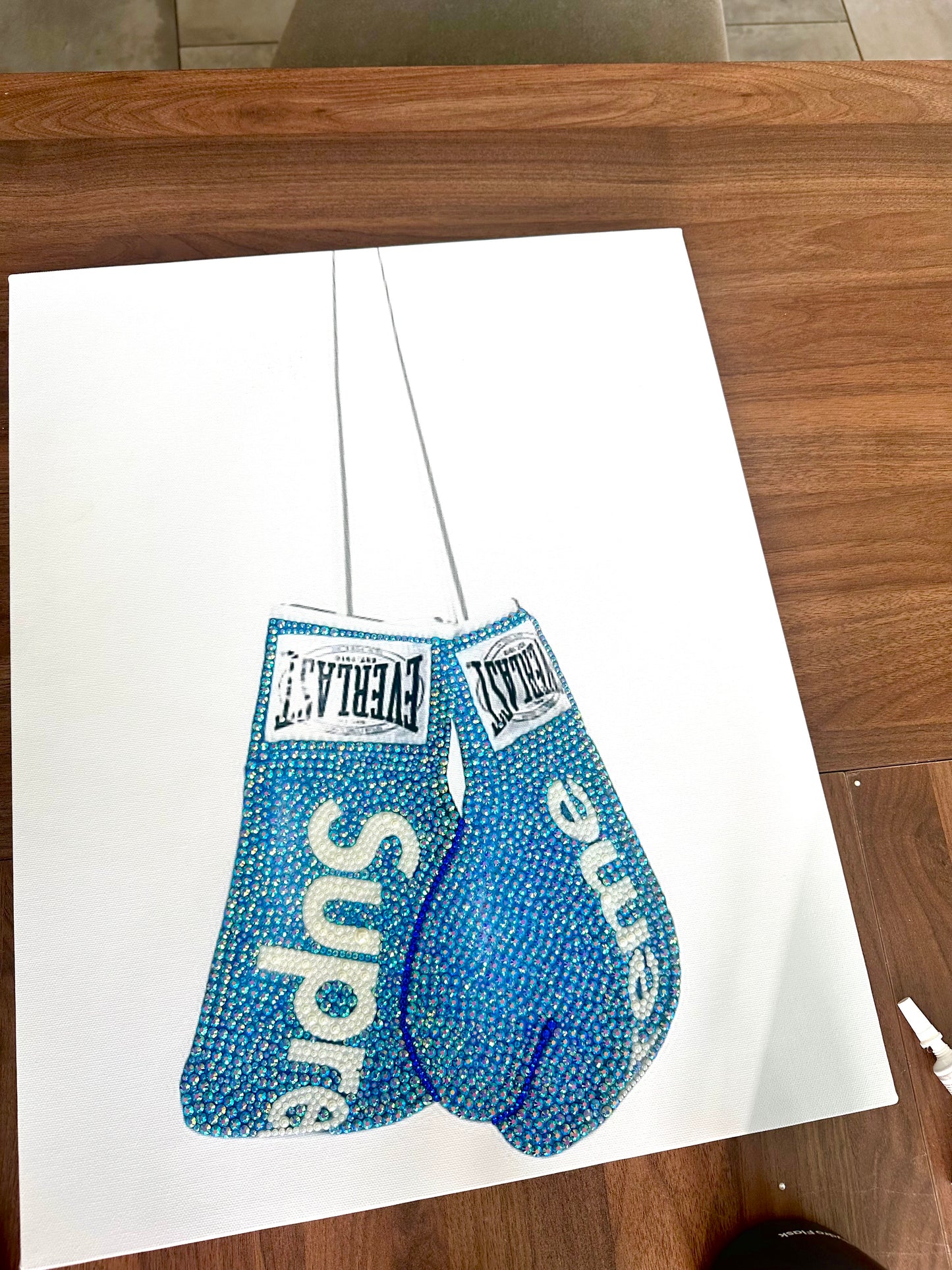 Supreme boxer gloves kit