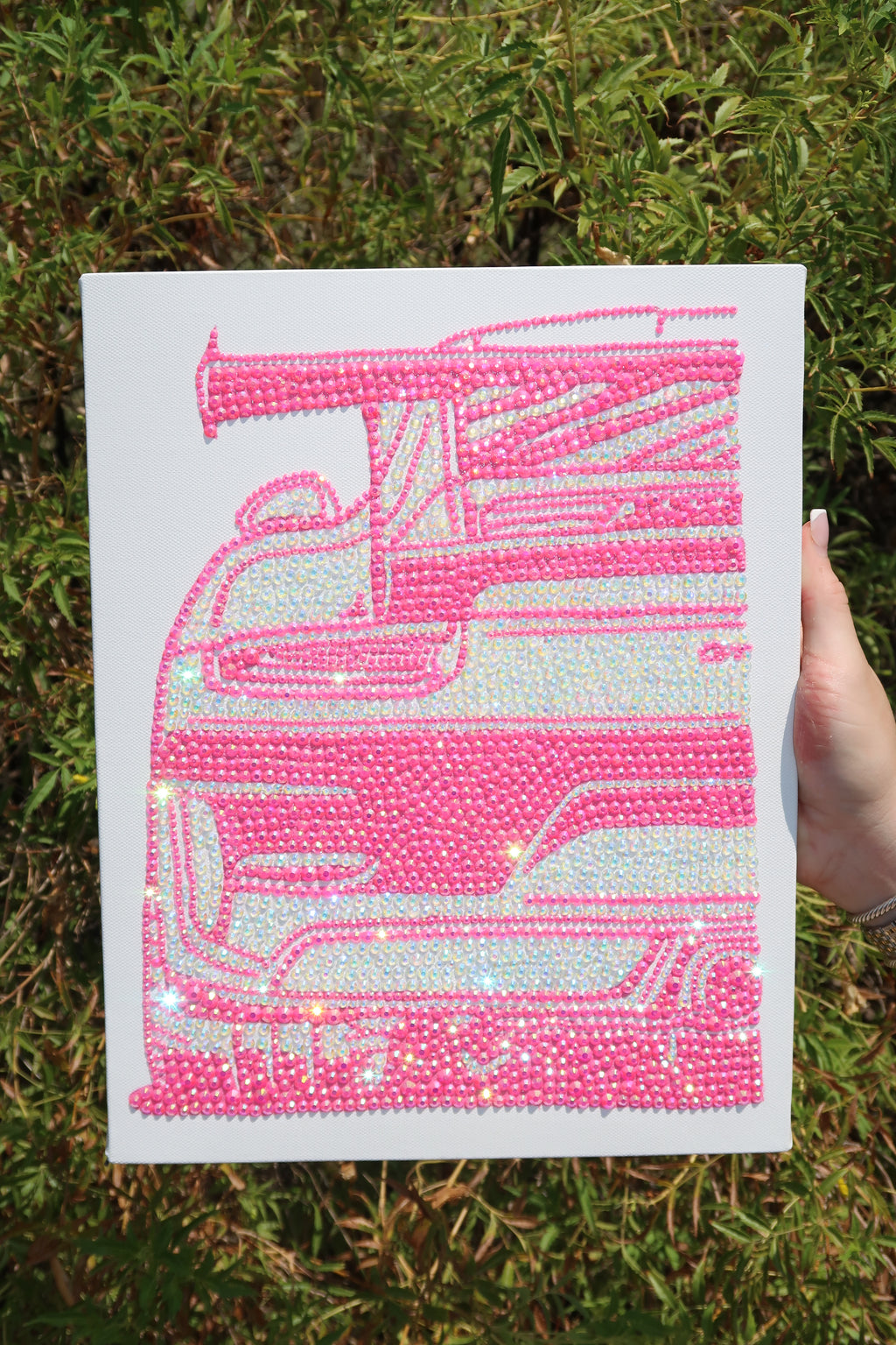 Pink car kit