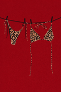 Red cheetah bikini kit
