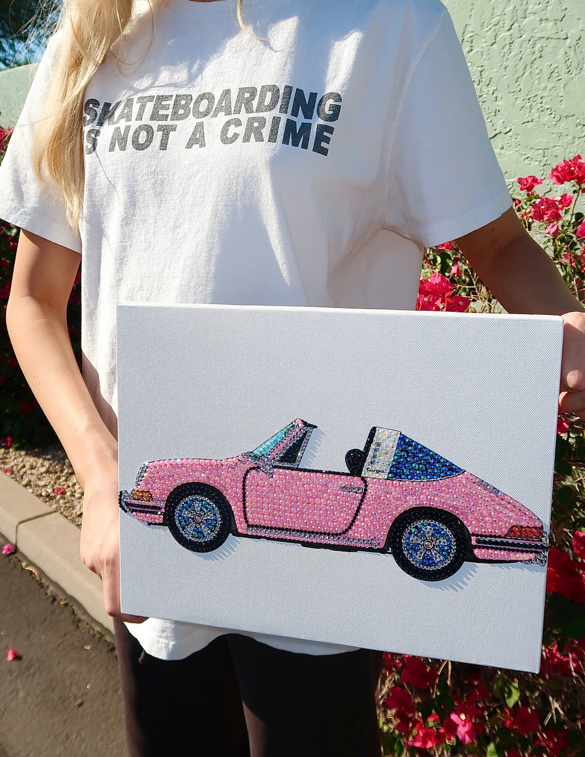 Pink race car kit