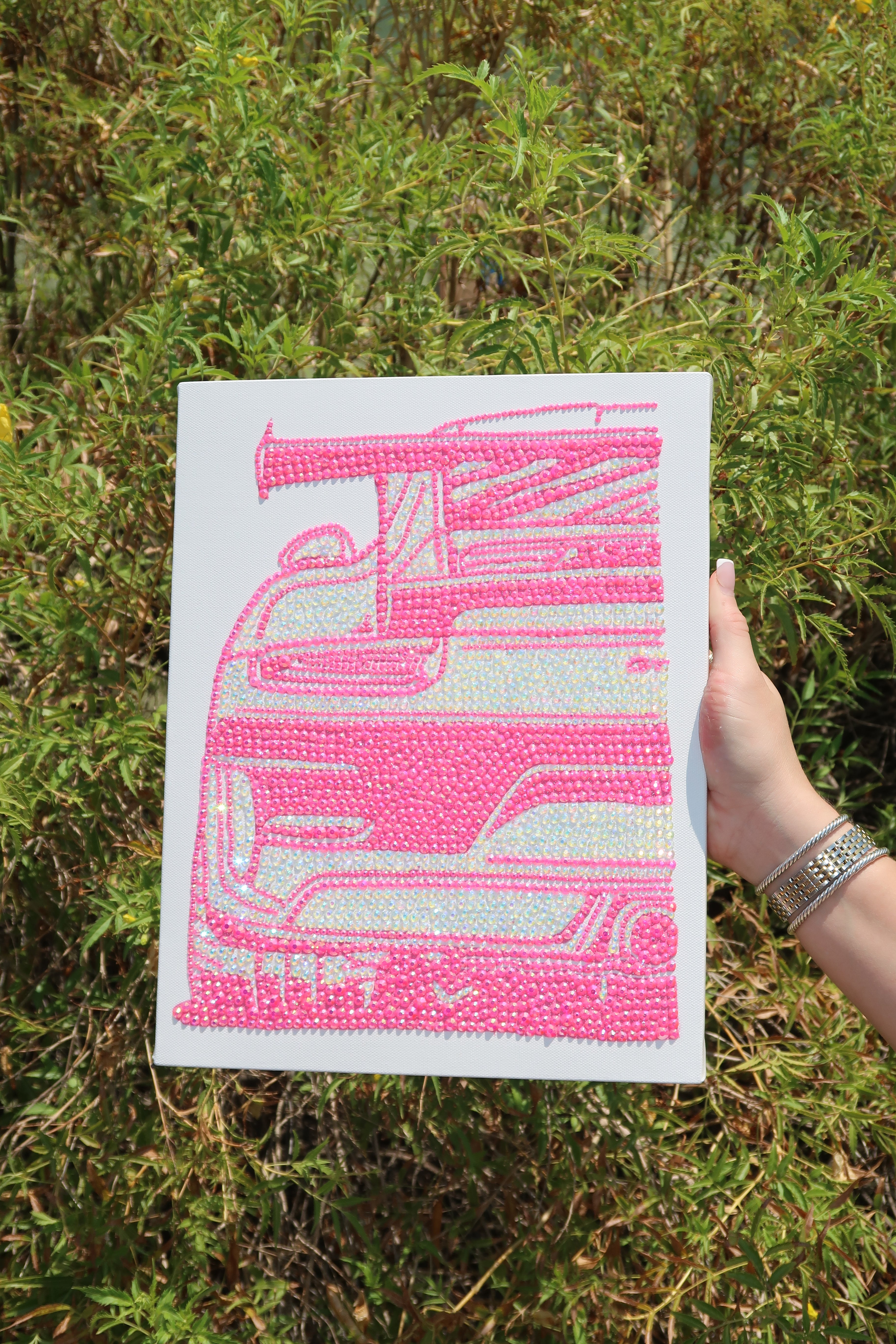 Pink car kit