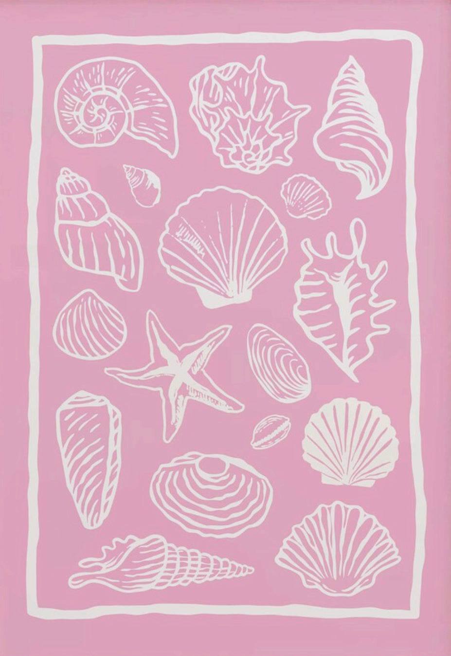 Pink seashell kit