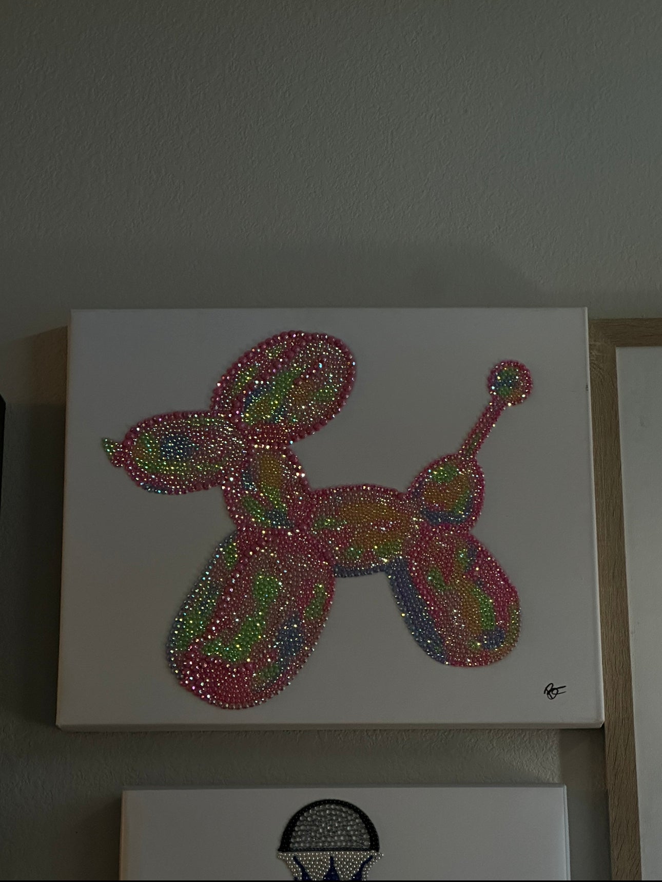 Multi color ballon dog kit