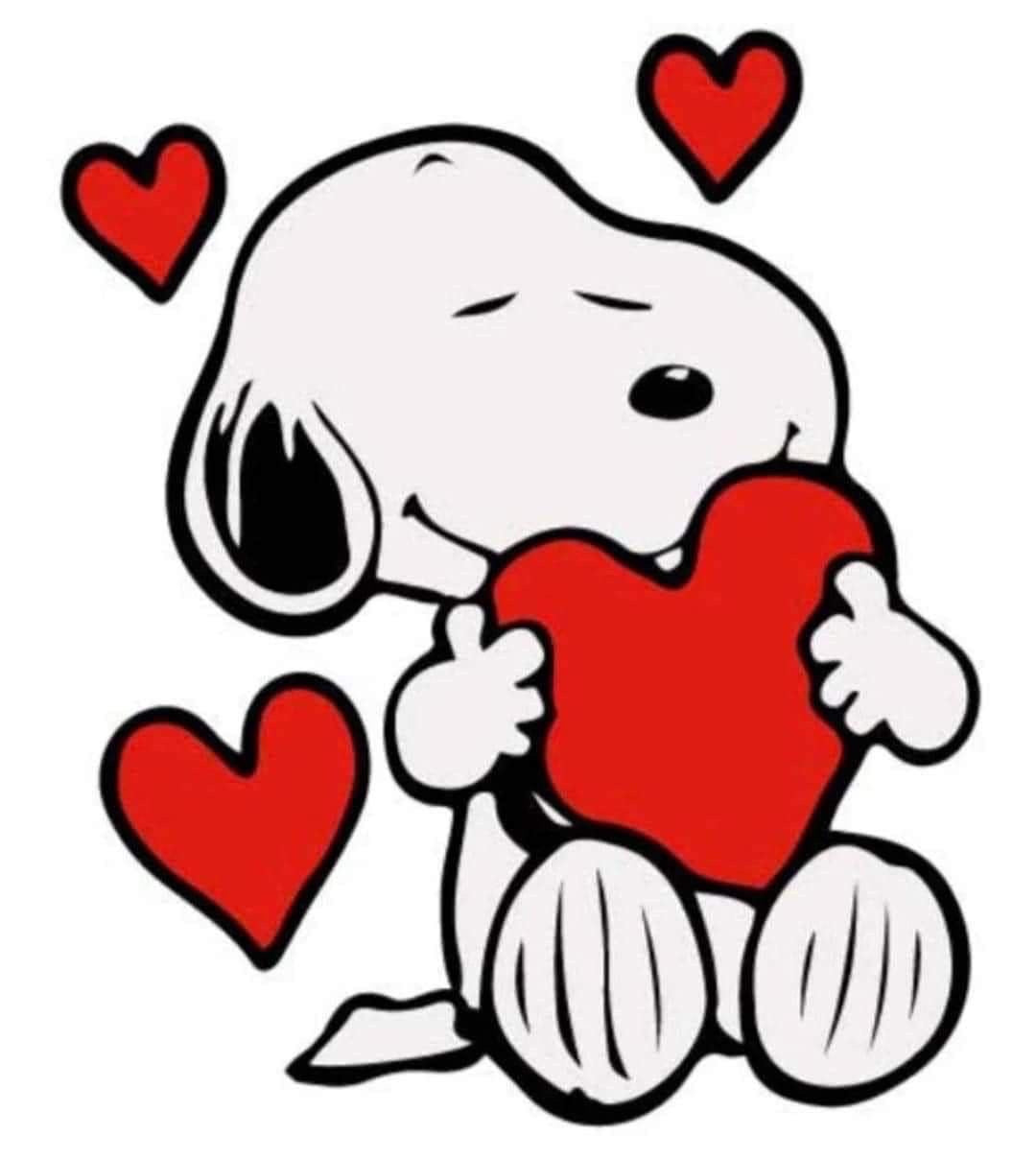 Heart snoopy kit