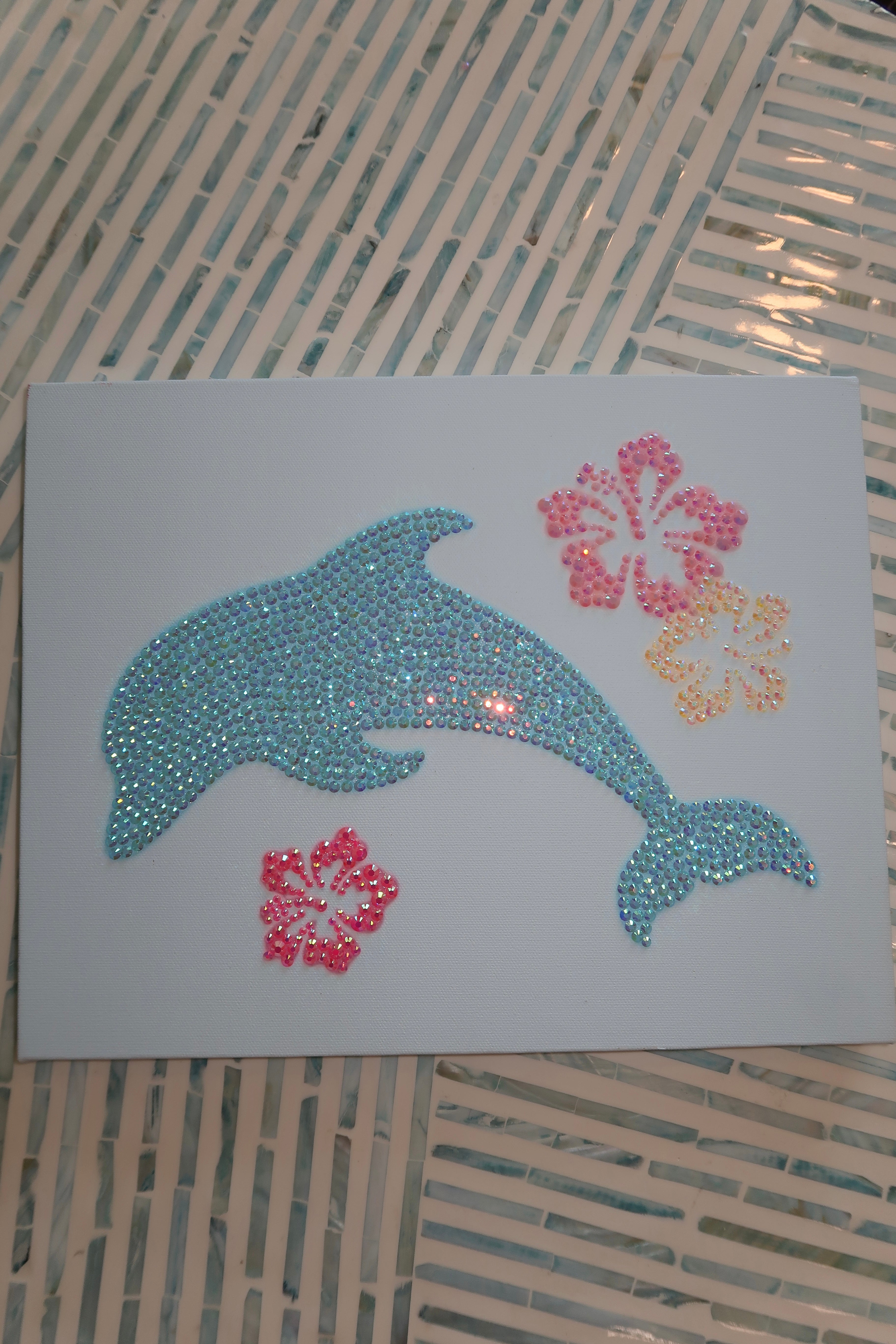 Dolphin kit