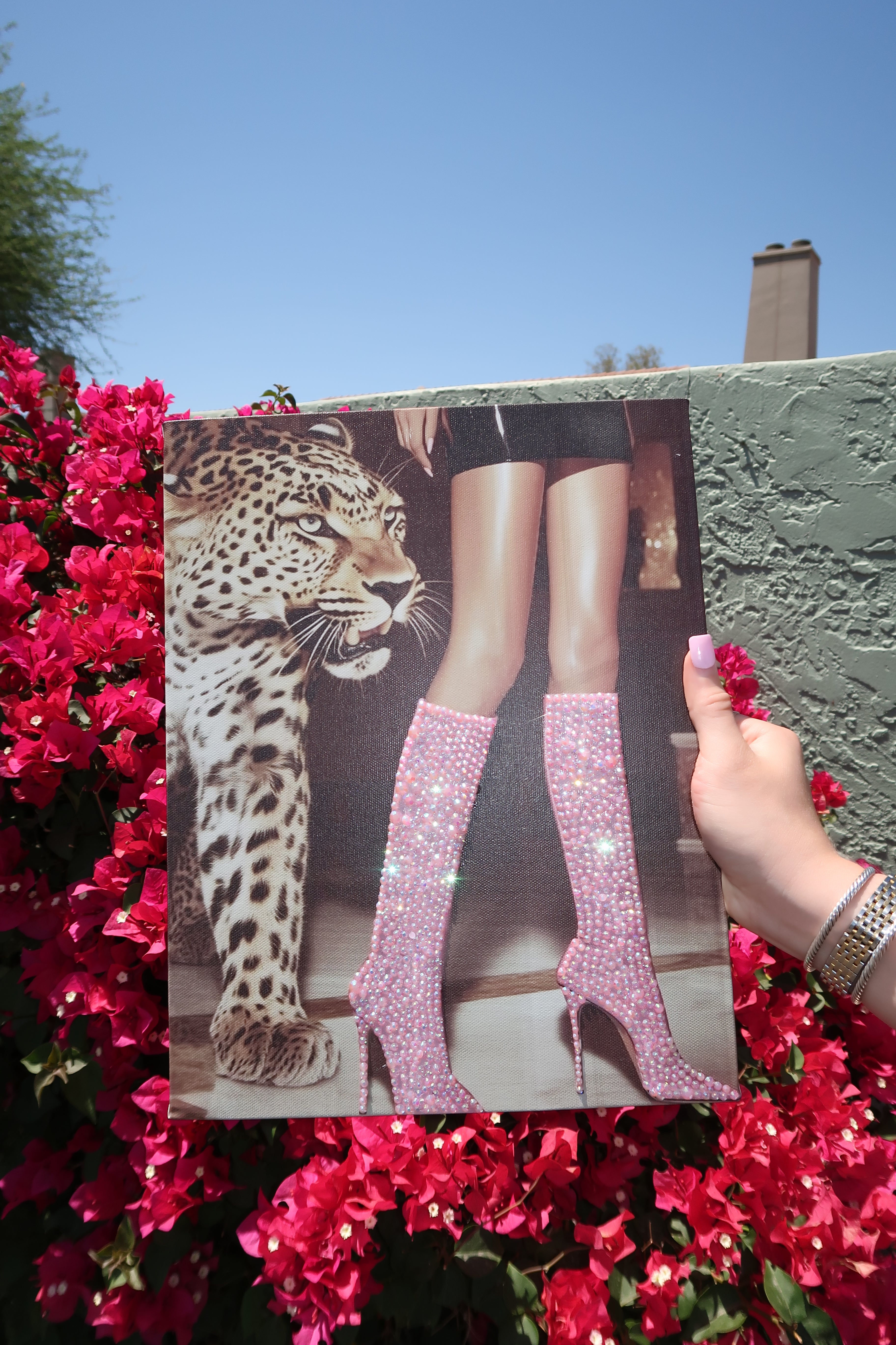 Pink boot tiger kit