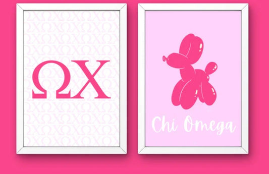 Chi Omega BUNDLE kits