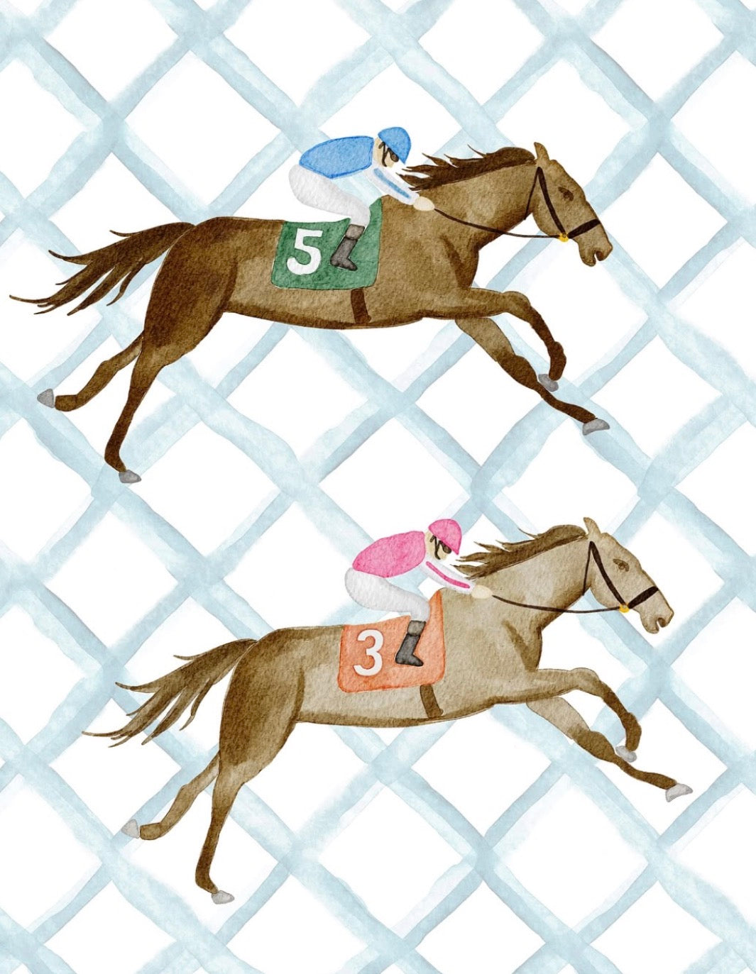 Horse race kit