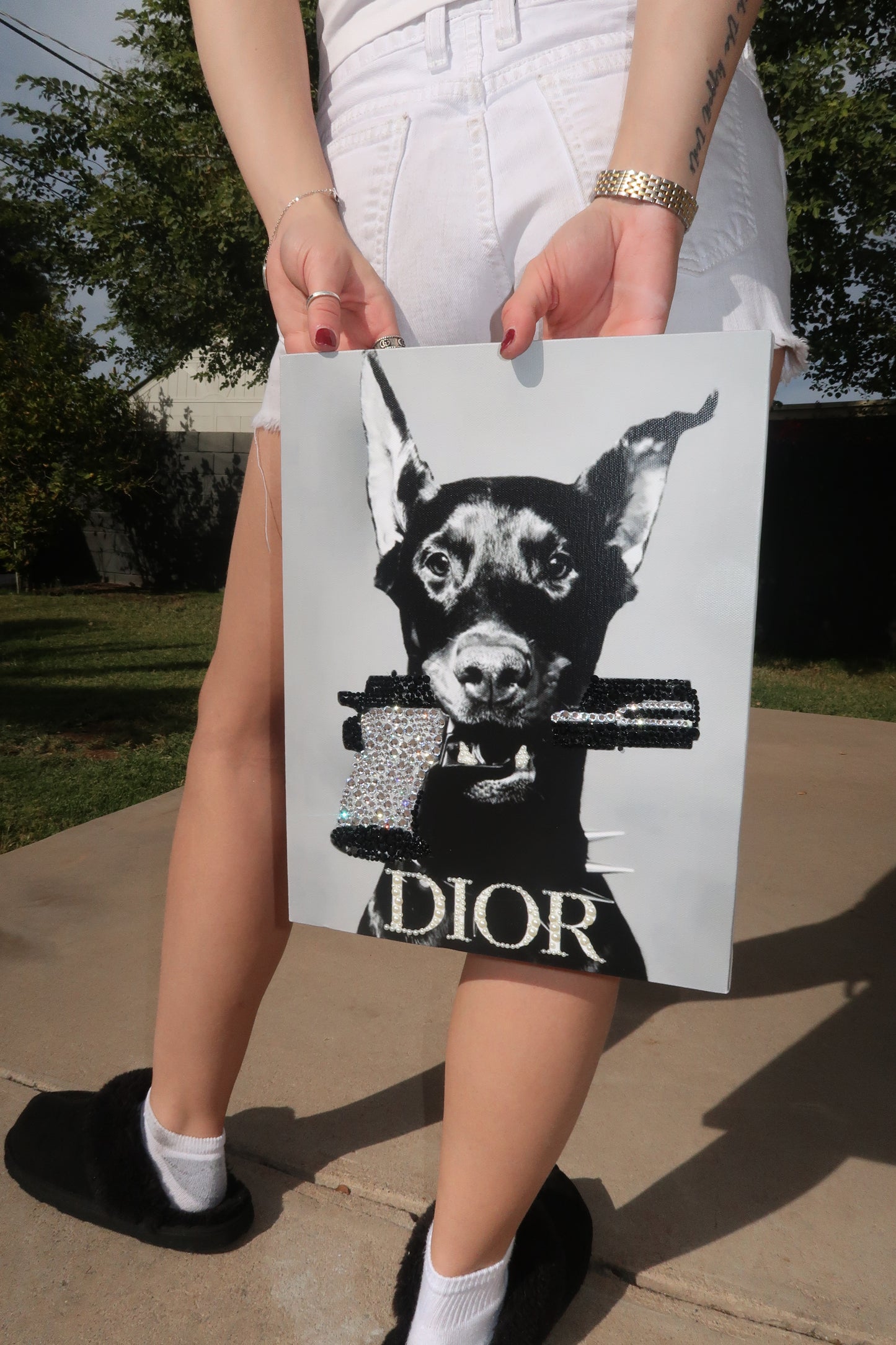 Dior dog kit