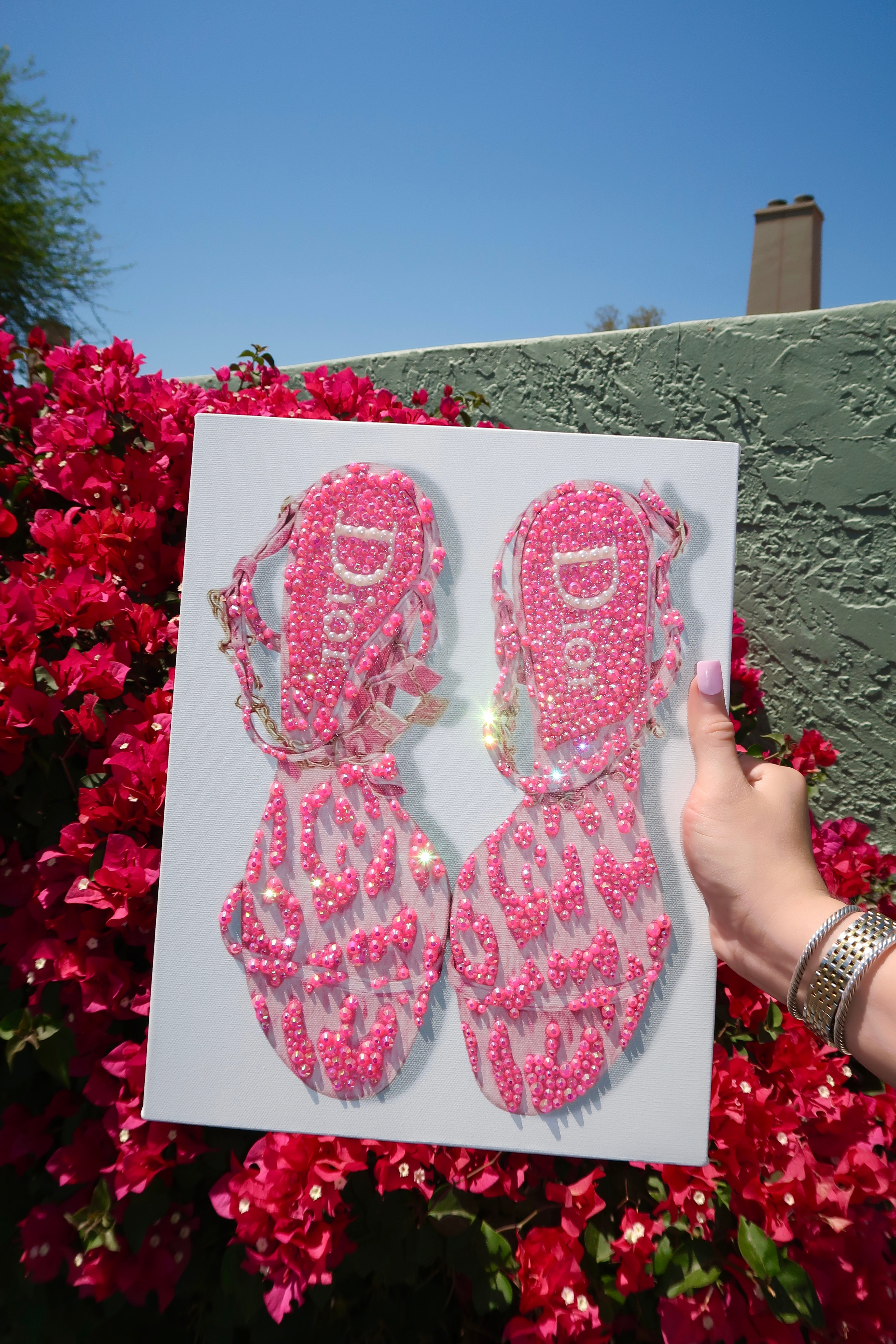 LIMITED EDITION Pink Dior heel kit