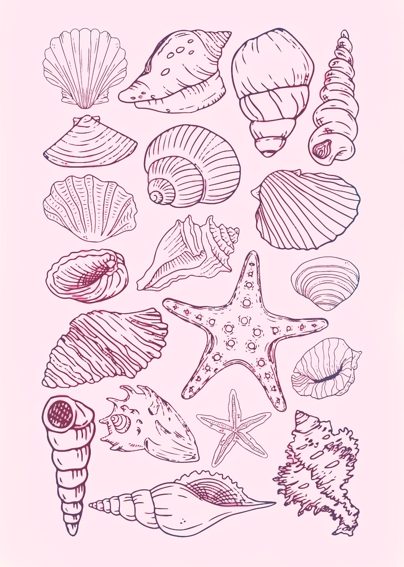 Pink seashell kit