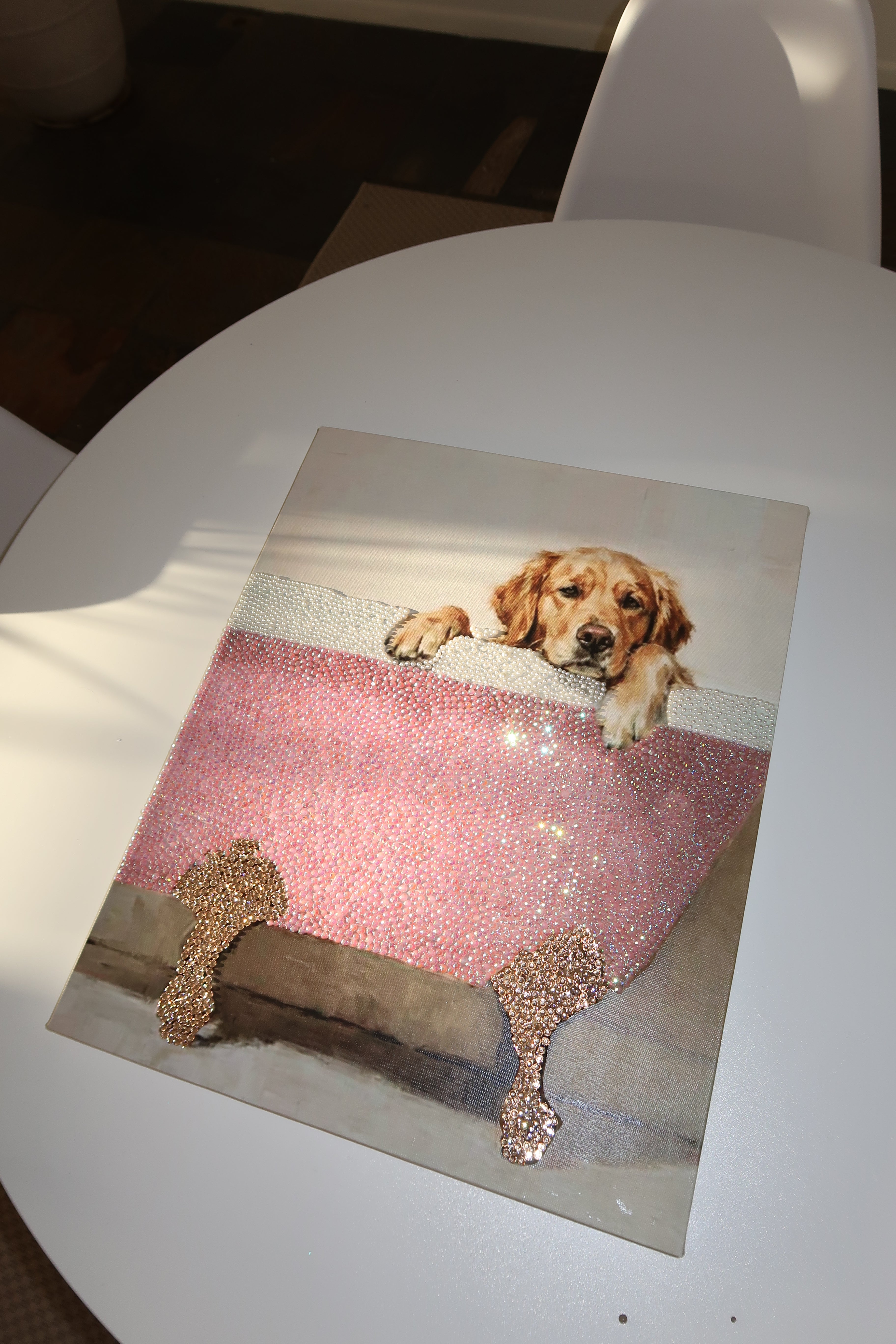 Dog bathtub kit