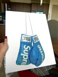 Supreme boxer gloves kit